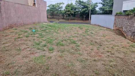 Comprar Terreno / Condom&iacute;nio em S&atilde;o Jos&eacute; do Rio Preto R$ 340.000,00 - Foto 3