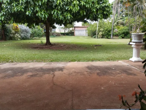 Comprar Rural / Ch&aacute;cara em S&atilde;o Jos&eacute; do Rio Preto R$ 1.300.000,00 - Foto 30