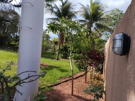 Comprar Rural / Ch&aacute;cara em S&atilde;o Jos&eacute; do Rio Preto R$ 1.300.000,00 - Foto 32