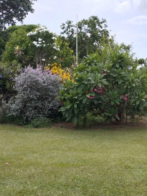 Comprar Rural / Ch&aacute;cara em S&atilde;o Jos&eacute; do Rio Preto R$ 1.300.000,00 - Foto 34