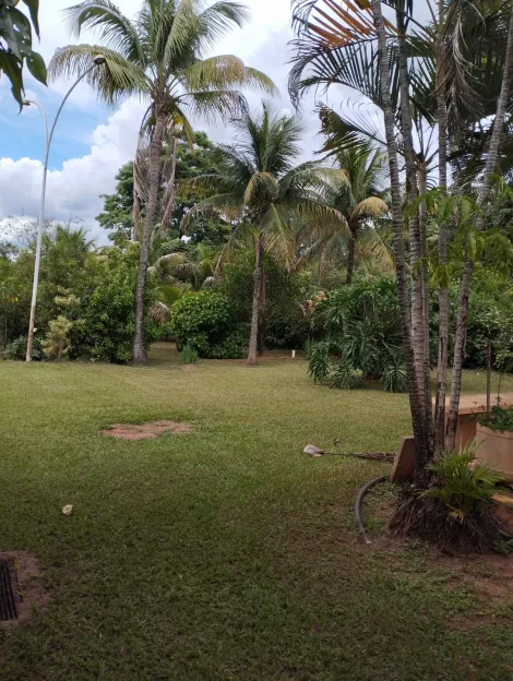Comprar Rural / Ch&aacute;cara em S&atilde;o Jos&eacute; do Rio Preto R$ 1.300.000,00 - Foto 38