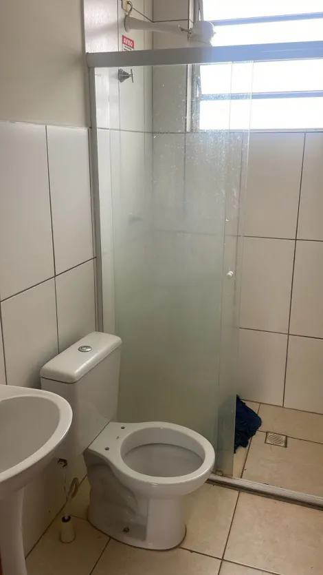 Alugar Apartamento / Padr&atilde;o em S&atilde;o Jos&eacute; do Rio Preto R$ 800,00 - Foto 7