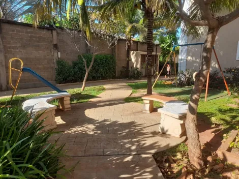 Comprar Apartamento / Padr&atilde;o em S&atilde;o Jos&eacute; do Rio Preto R$ 270.000,00 - Foto 13