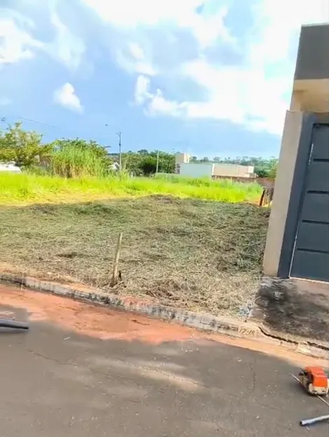 Comprar Terreno / Padr&atilde;o em Bady Bassitt R$ 70.000,00 - Foto 4