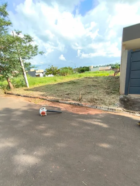Comprar Terreno / Padr&atilde;o em Bady Bassitt R$ 70.000,00 - Foto 6