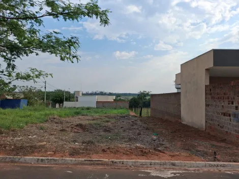 Comprar Terreno / Padr&atilde;o em Bady Bassitt R$ 60.000,00 - Foto 7