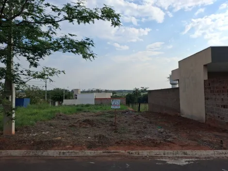 Comprar Terreno / Padr&atilde;o em Bady Bassitt R$ 60.000,00 - Foto 8