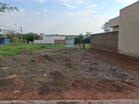 Comprar Terreno / Padr&atilde;o em Bady Bassitt R$ 60.000,00 - Foto 9