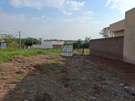 Comprar Terreno / Padr&atilde;o em Bady Bassitt R$ 60.000,00 - Foto 12