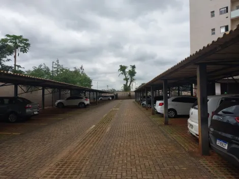 Apartamento / Padr&atilde;o em S&atilde;o Jos&eacute; do Rio Preto 