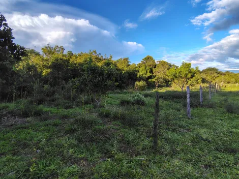 Comprar Rural / S&iacute;tio em Nhandeara R$ 950.000,00 - Foto 3