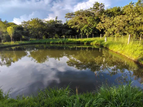 Comprar Rural / S&iacute;tio em Nhandeara R$ 950.000,00 - Foto 4