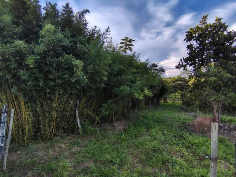 Comprar Rural / S&iacute;tio em Nhandeara R$ 950.000,00 - Foto 7