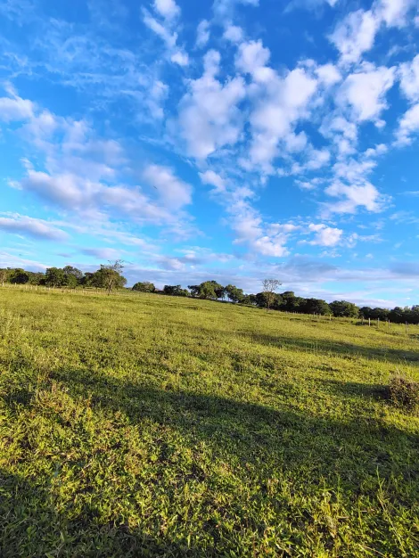 Comprar Rural / S&iacute;tio em Nhandeara R$ 950.000,00 - Foto 9