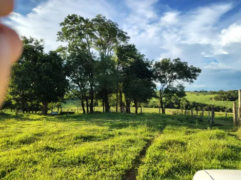 Comprar Rural / S&iacute;tio em Nhandeara R$ 950.000,00 - Foto 10