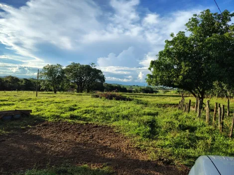 Comprar Rural / S&iacute;tio em Nhandeara R$ 950.000,00 - Foto 13