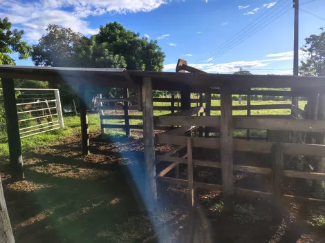 Comprar Rural / S&iacute;tio em Nhandeara R$ 950.000,00 - Foto 15