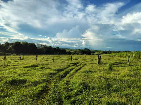 Comprar Rural / S&iacute;tio em Nhandeara R$ 950.000,00 - Foto 18