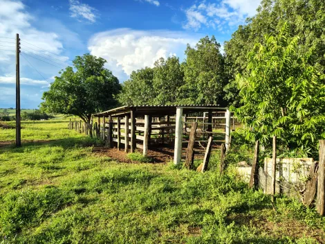 Comprar Rural / S&iacute;tio em Nhandeara R$ 950.000,00 - Foto 21