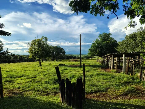 Comprar Rural / S&iacute;tio em Nhandeara R$ 950.000,00 - Foto 23