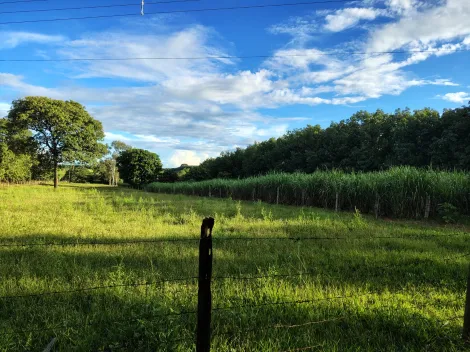Comprar Rural / S&iacute;tio em Nhandeara R$ 950.000,00 - Foto 24