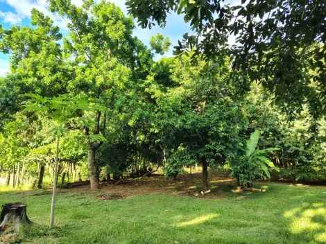 Comprar Rural / S&iacute;tio em Nhandeara R$ 950.000,00 - Foto 27