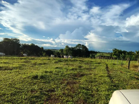 Comprar Rural / S&iacute;tio em Nhandeara R$ 950.000,00 - Foto 33