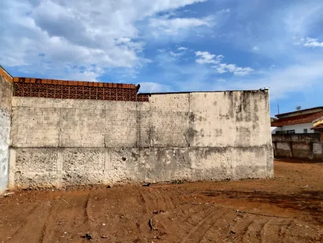 Comprar Terreno / Padr&atilde;o em S&atilde;o Jos&eacute; do Rio Preto R$ 1.500.000,00 - Foto 18