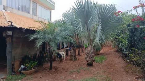 Comprar Rural / Ch&aacute;cara em S&atilde;o Jos&eacute; do Rio Preto R$ 740.000,00 - Foto 14