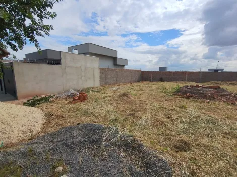 Comprar Terreno / Padr&atilde;o em S&atilde;o Jos&eacute; do Rio Preto R$ 185.000,00 - Foto 3