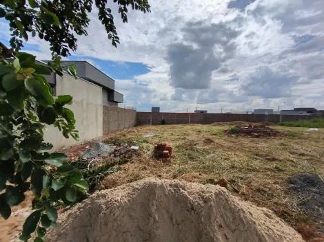 Terreno / Padr&atilde;o em S&atilde;o Jos&eacute; do Rio Preto 