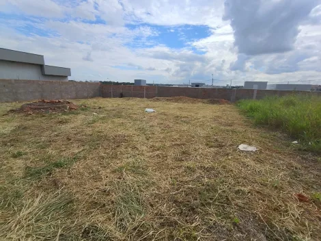 Comprar Terreno / Padr&atilde;o em S&atilde;o Jos&eacute; do Rio Preto R$ 185.000,00 - Foto 2