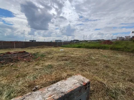 Comprar Terreno / Padr&atilde;o em S&atilde;o Jos&eacute; do Rio Preto R$ 185.000,00 - Foto 3