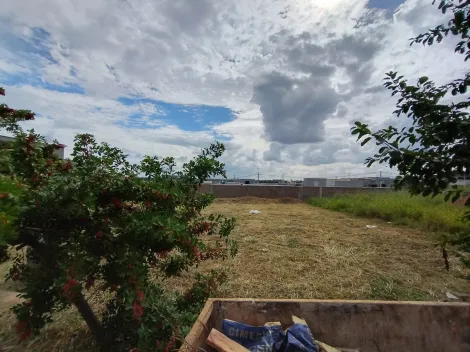 Terreno / Padr&atilde;o em S&atilde;o Jos&eacute; do Rio Preto 