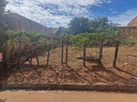 Terreno / Padr&atilde;o em S&atilde;o Jos&eacute; do Rio Preto 