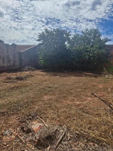 Comprar Terreno / Padr&atilde;o em S&atilde;o Jos&eacute; do Rio Preto R$ 105.000,00 - Foto 2