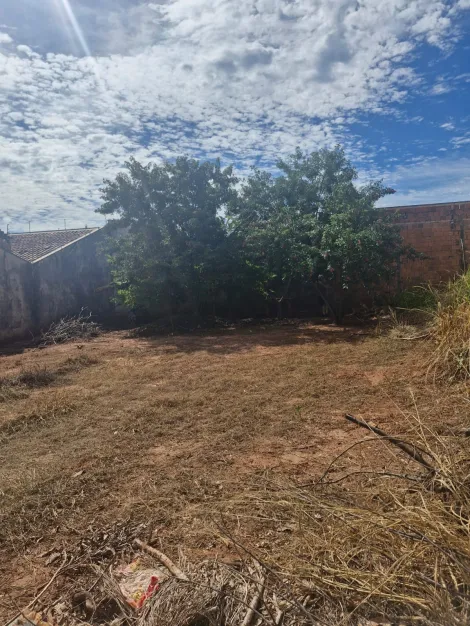 Comprar Terreno / Padr&atilde;o em S&atilde;o Jos&eacute; do Rio Preto R$ 105.000,00 - Foto 3