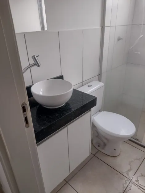 Alugar Apartamento / Padr&atilde;o em S&atilde;o Jos&eacute; do Rio Preto R$ 900,00 - Foto 13