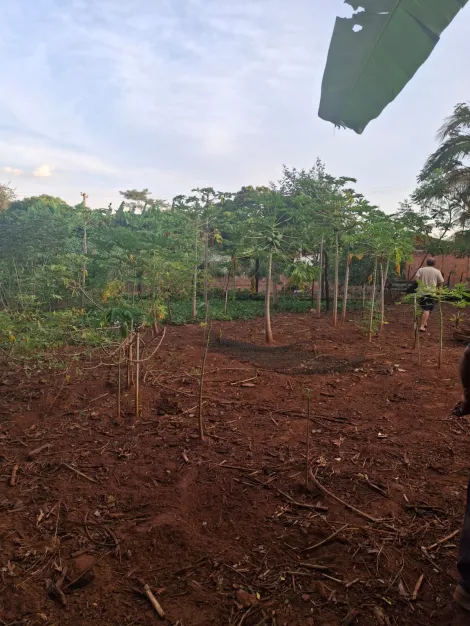 Rural / Ch&aacute;cara em S&atilde;o Jos&eacute; do Rio Preto 