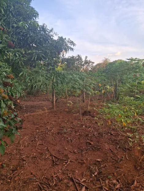 Comprar Rural / Ch&aacute;cara em S&atilde;o Jos&eacute; do Rio Preto R$ 177.000,00 - Foto 3