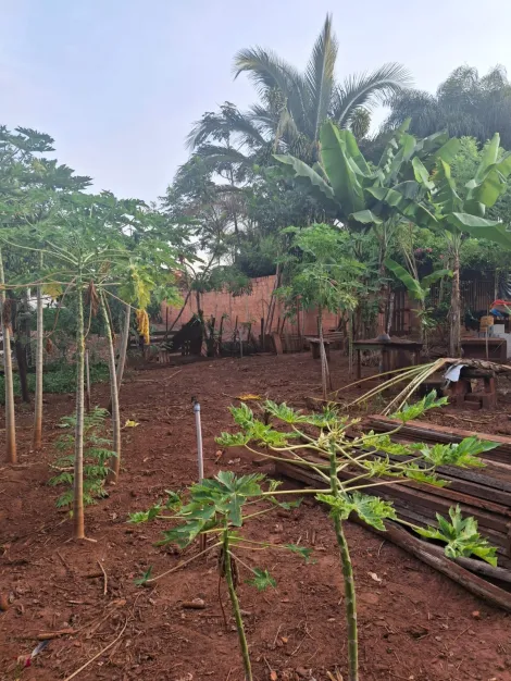 Comprar Rural / Ch&aacute;cara em S&atilde;o Jos&eacute; do Rio Preto R$ 177.000,00 - Foto 5