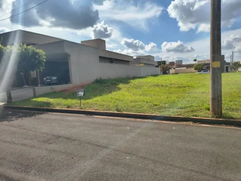 Terreno / Condom&iacute;nio em Ipigu&aacute; 