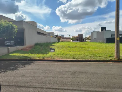 Comprar Terreno / Condom&iacute;nio em Ipigu&aacute; R$ 95.000,00 - Foto 3