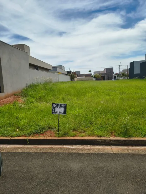 Comprar Terreno / Condom&iacute;nio em Ipigu&aacute; R$ 95.000,00 - Foto 4