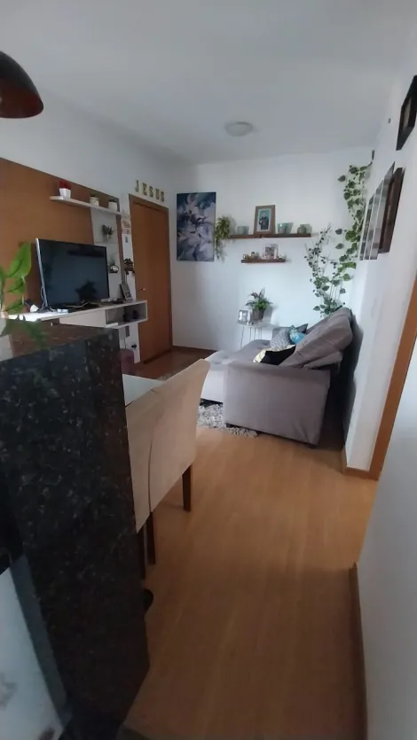 Comprar Apartamento / Padr&atilde;o em S&atilde;o Jos&eacute; do Rio Preto R$ 242.000,00 - Foto 2