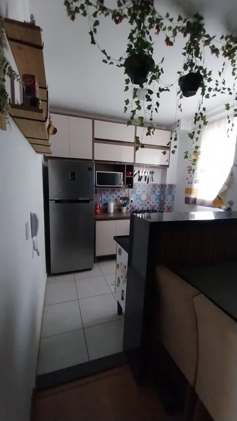Comprar Apartamento / Padr&atilde;o em S&atilde;o Jos&eacute; do Rio Preto R$ 242.000,00 - Foto 7