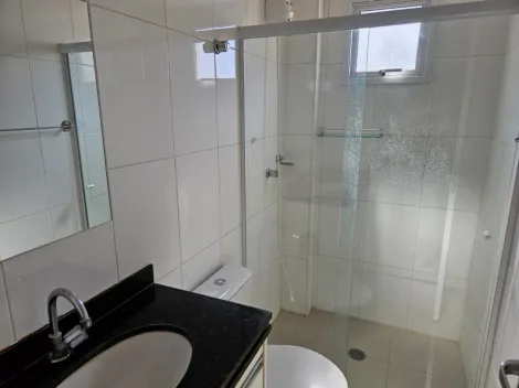 Alugar Apartamento / Padr&atilde;o em S&atilde;o Jos&eacute; do Rio Preto R$ 2.300,00 - Foto 16