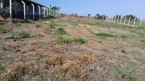 Comprar Terreno / Condom&iacute;nio em Adolfo R$ 120.000,00 - Foto 7