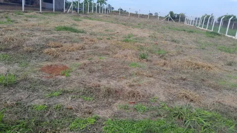 Comprar Terreno / Condom&iacute;nio em Adolfo R$ 120.000,00 - Foto 8