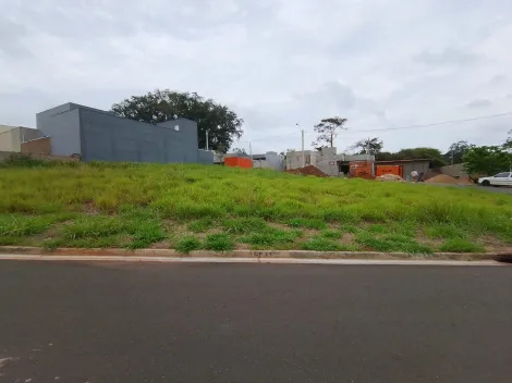 Comprar Terreno / Padr&atilde;o em Bady Bassitt R$ 180.000,00 - Foto 3